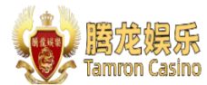 腾龙平台